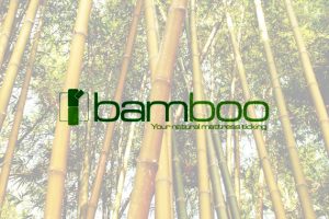 bamboo-570x400